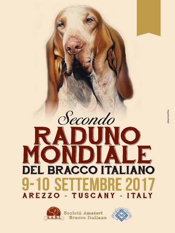 Du Clos Des Petites Vignes - Raduno Mondiale Bracco Italiano Arezzo