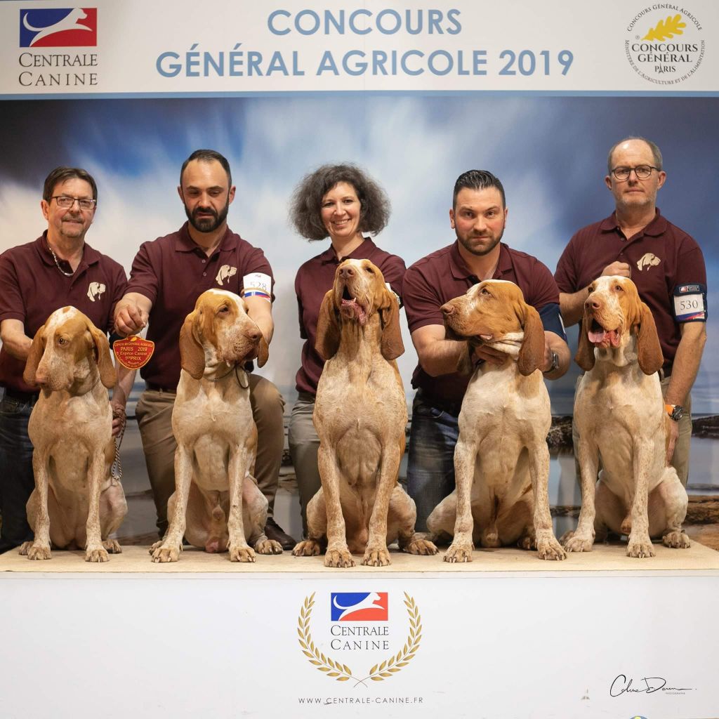 Du Clos Des Petites Vignes - Concour Général Agricole 2019